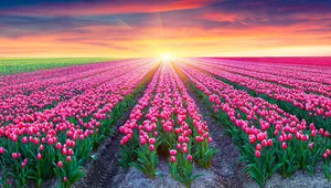 A Majestic Spring Sunrise Wallpaper