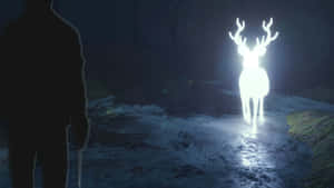 A Majestic Stag Patronus Glowing In A Dark Forest Wallpaper