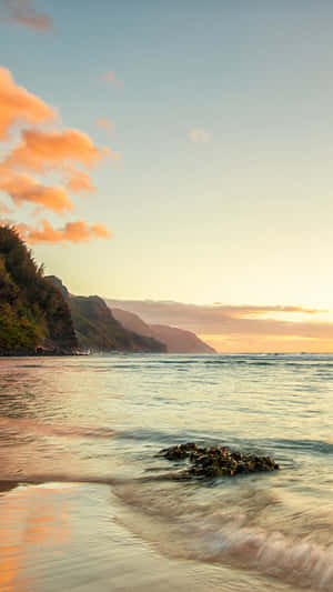 A Man Is Flying A Kite On The Beach Wallpaper