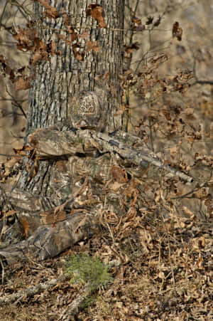 A Man Is Sitting On A Tree Wallpaper