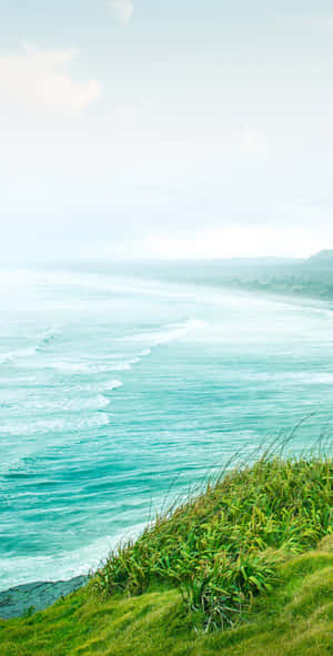 A Man Is Standing On A Hill Overlooking The Ocean Wallpaper