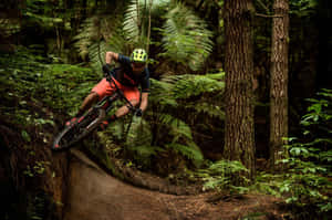 A Man Riding A Mountain Bike In The Woods Wallpaper