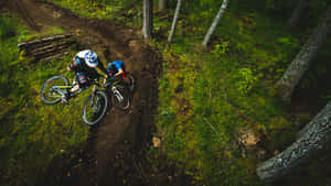 A Man Riding A Mountain Bike In The Woods Wallpaper