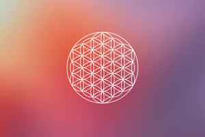 A Mesmerizing Flower Of Life, Linking The Present With Our Collective Past. Wallpaper