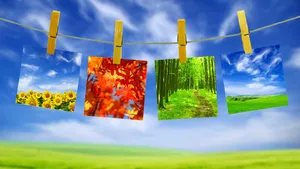 A Mesmerizing Sunrise Over A Vast Field Wallpaper