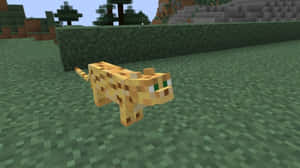 A Minecraft Ocelot In Its Natural Habitat Wallpaper