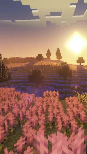 A Minecraft Scene With A Pink Flower Field Wallpaper