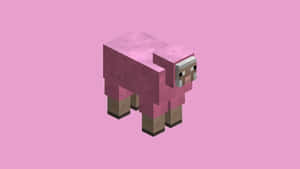 A Minecraft Sheep Grazing Peacefully In Its Voxel World Wallpaper