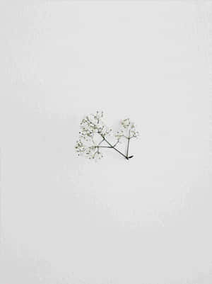 A Minimalist Drawing To Inspire Simplicity Wallpaper