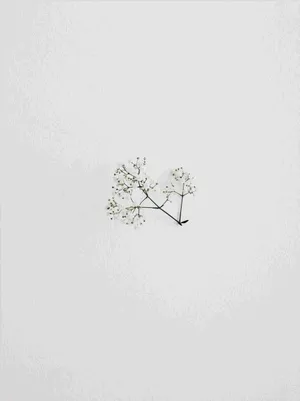 A Minimalist Drawing To Inspire Simplicity Wallpaper
