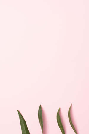 A Minimalist Image With Bright Pink Shades Wallpaper