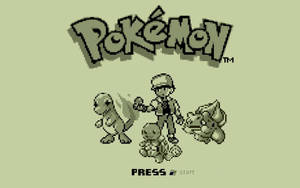 A Monochrome Pixelated Squirtle Pokemon Ready For A Battle Wallpaper