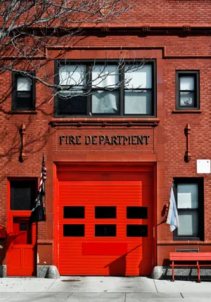 A Mother Raccoon And Her Young Cub Bravely Stare Out Into The Wilderness. Wallpaper