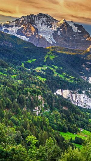 A Mountain Range With A Green Forest Wallpaper