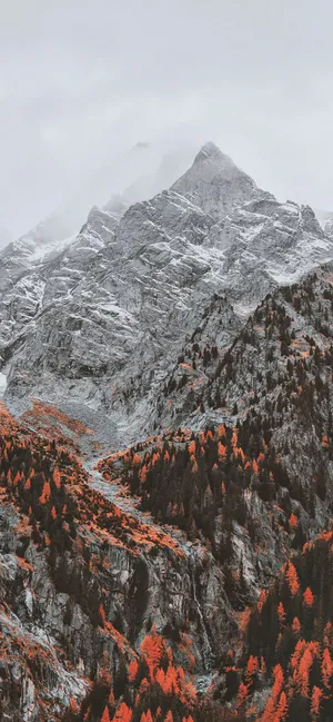 A Mountain Range With Red Trees And A Mountain Wallpaper