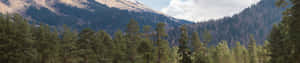 A Mountain Range With Trees Wallpaper