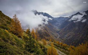 A Mountain Range With Trees And Clouds In The Background Wallpaper