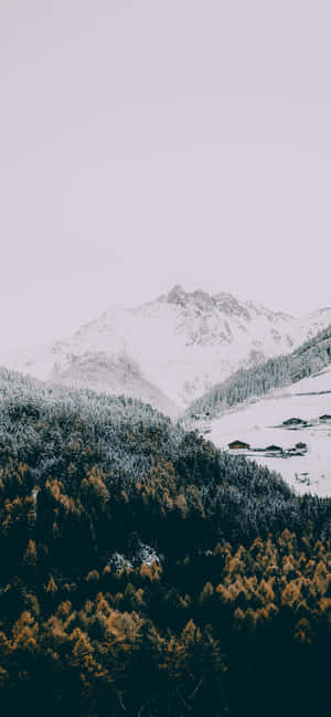 A Mountain Range With Trees And Mountains In The Background Wallpaper