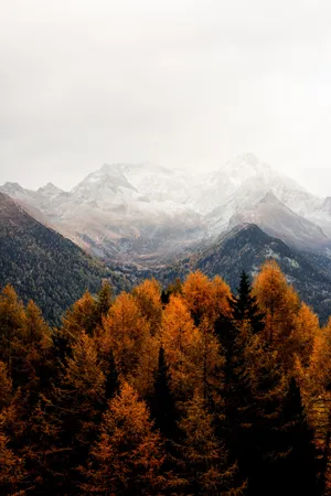 A Mountain Range With Trees In The Background Wallpaper
