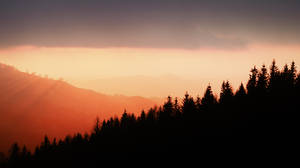 A Mountain Range With Trees Wallpaper