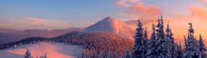 A Mountain With Snow Covered Trees And A Sunset Wallpaper