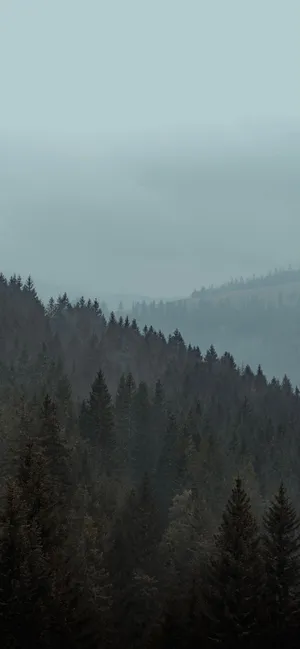 A Mountain With Trees Wallpaper