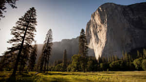 A Mountain With Trees And Grass In The Background Wallpaper