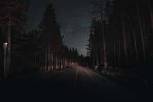 A Mysterious Journey Through The Dark Forest Road Wallpaper