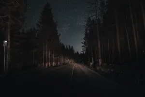 A Mysterious Journey Through The Dark Forest Road Wallpaper