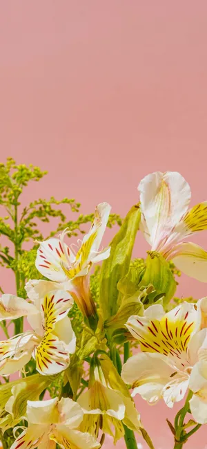 A Mystical And Magical Waterfall In Montana Wallpaper