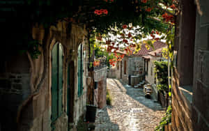 A Narrow Street With A Tree Wallpaper