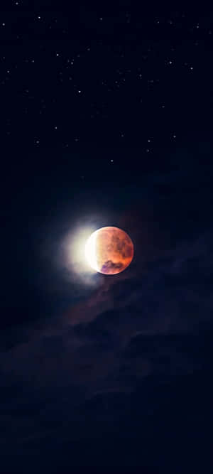 A Night Under The Mesmerising Full Moon Wallpaper