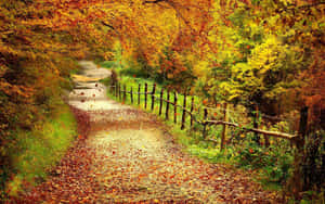 A Path With Leaves And Trees In The Background Wallpaper