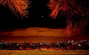 A Peaceful Chilly Night Wallpaper