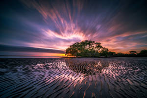 A Peaceful Dawn At The Edge Of A Mysterious Swamp Wallpaper