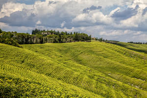 A Peaceful Grass-covered Landscape In The Open Countryside Wallpaper