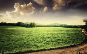 A Peaceful Morning Of Rural Farming. Wallpaper