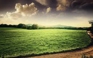 A Peaceful Morning Of Rural Farming. Wallpaper