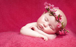 A Peaceful Sleeping Bundle Of Joy. Wallpaper