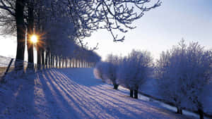 A Peaceful Winter Morning In The Countryside Wallpaper