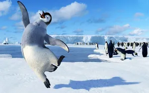 A Penguin Is Jumping In The Snow Wallpaper