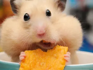 A Perfect Sunrise Wallpaper