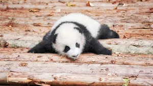 A Perfectly Refreshing Afternoon By The Water Wallpaper