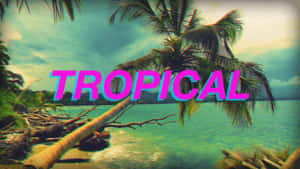 A Person Enjoying The Beauty Of An Aesthetic Tropical Scene Wallpaper