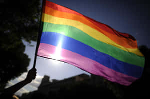 A Person Is Holding A Rainbow Flag In Front Of A Building Wallpaper