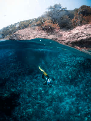 A Person Is Snorkling In The Water Wallpaper