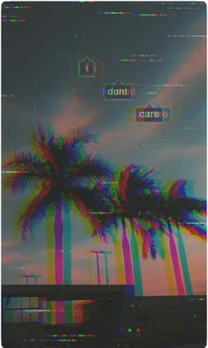 A Photo Of Palm Trees And A Palm Tree Wallpaper