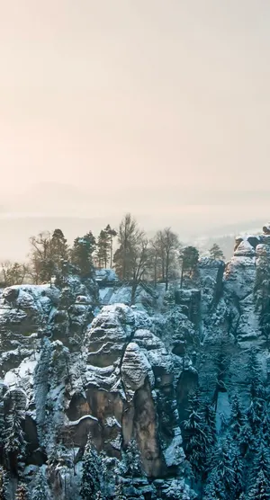 A Picture-perfect Winter Morning View On An Iphone 6 Plus Wallpaper