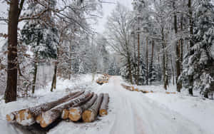 A Picturesque And Icy Winter Road Amidst Snow-covered Trees Wallpaper