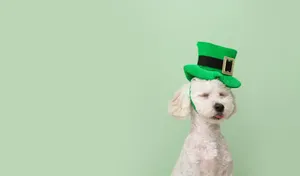 A Picturesque Beach Paradise With Crystal Clear Waters Wallpaper